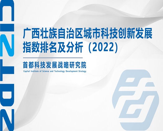 “大屌插逼网站”【成果发布】广西壮族自治区城市科技创新发展指数排名及分析（2022）